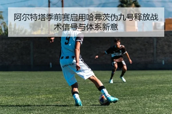 img_1783027023822_1388_0_781.jpg